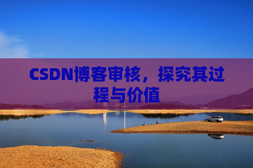 CSDN博客审核，探究其过程与价值